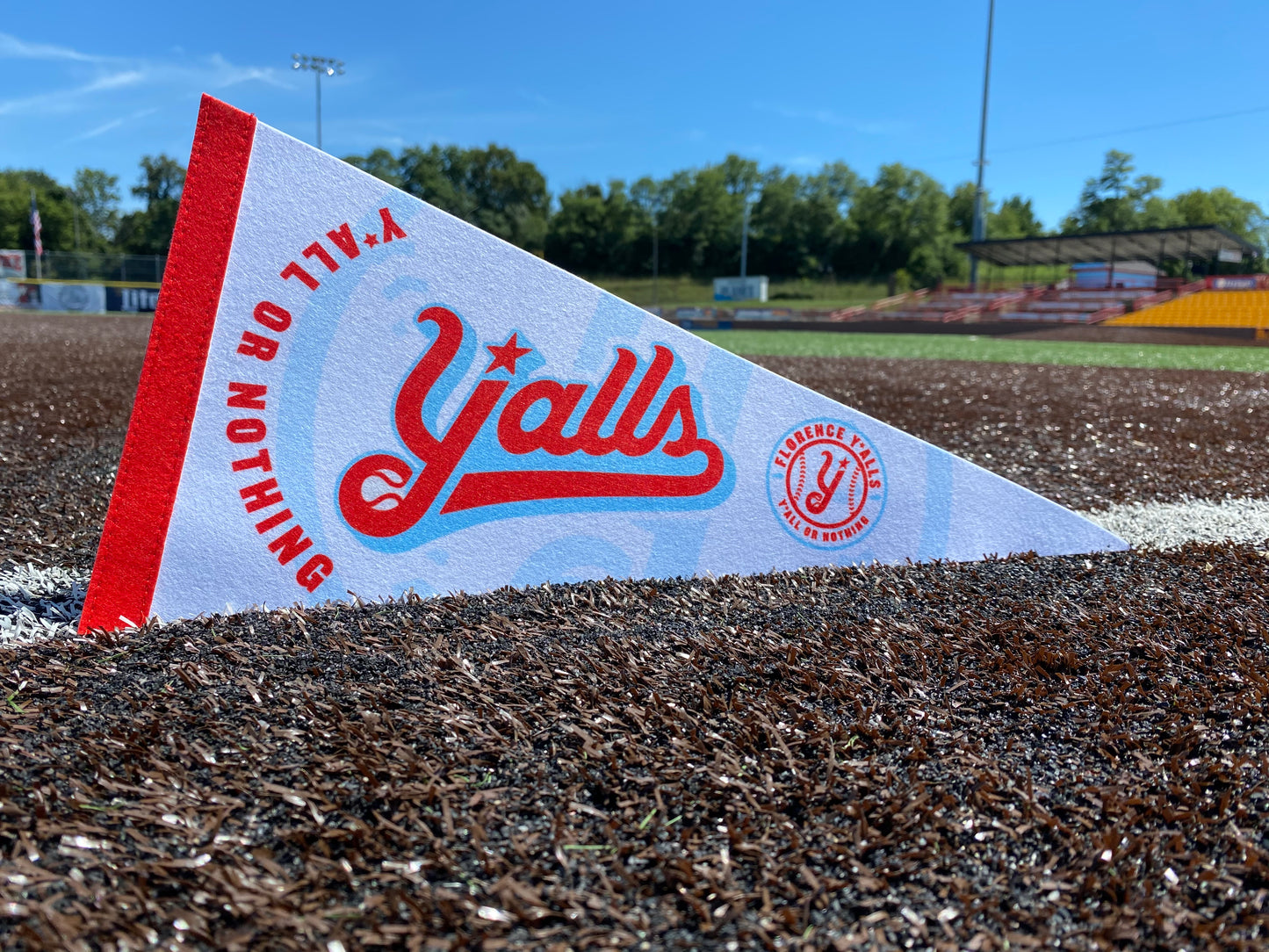 Y'all or Nothing Pennant