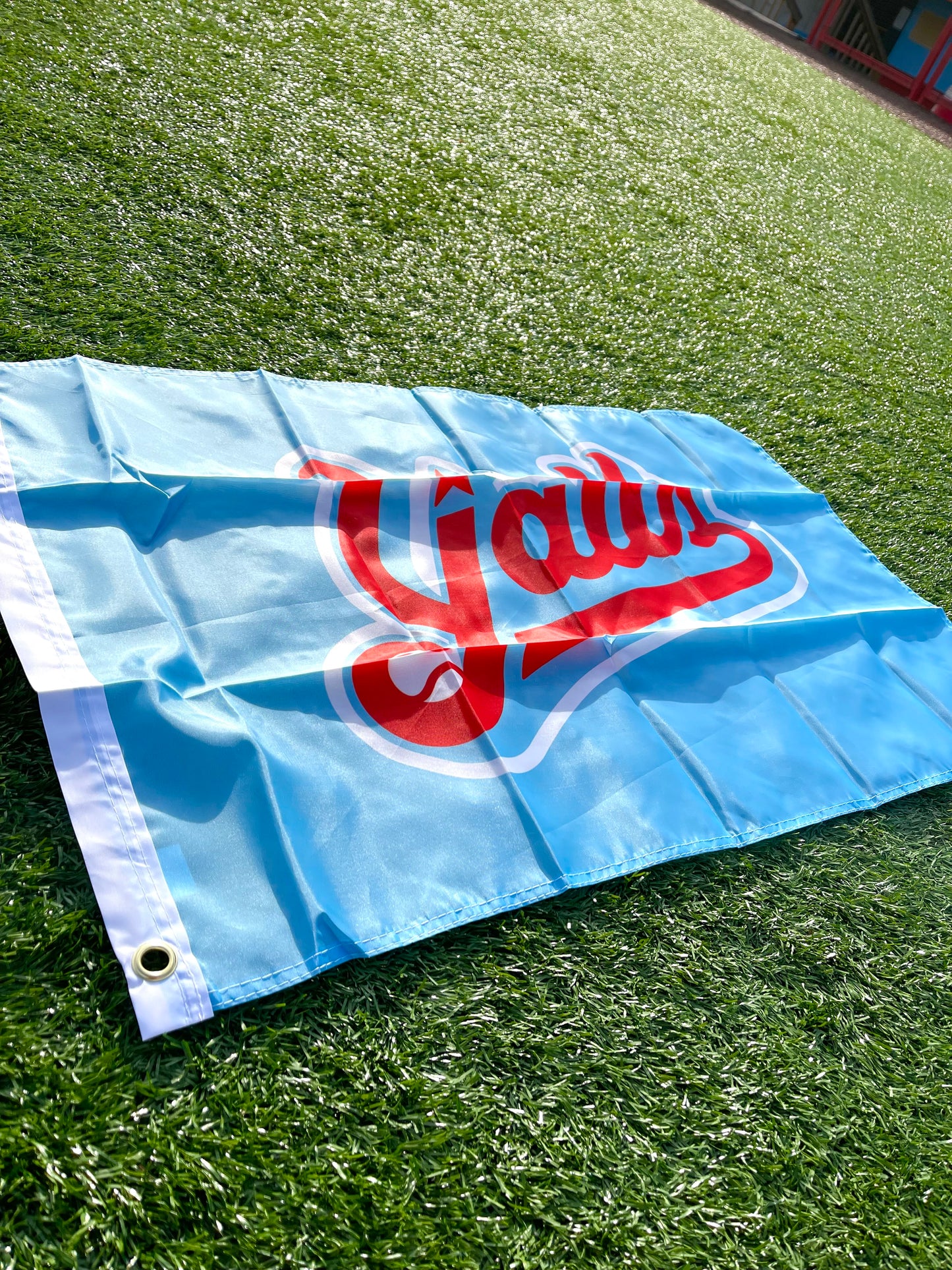 Y'alls Fan Flag