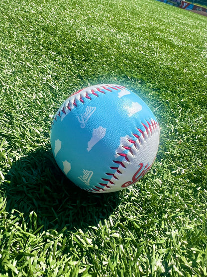 Kentucky Sky Baseball